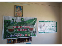 Tea Board Training Programme