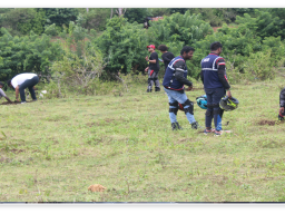 World Environment Day 2023