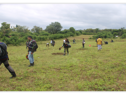 World Environment Day 2023