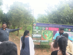 Trees Outside Forests in India - TOFI