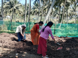 Vermicomposting Culture Project