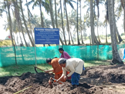 Vermicomposting Culture Project